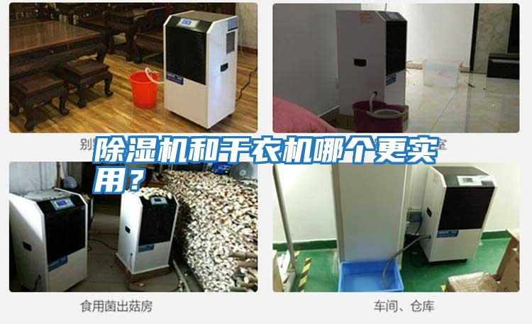 除濕機(jī)和干衣機(jī)哪個更實用?