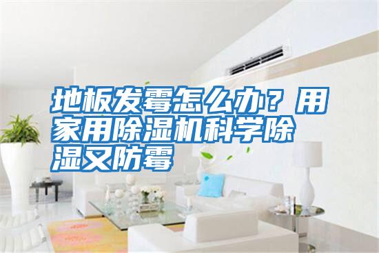 地板發霉怎么辦？用家用除濕機科學除濕又防霉