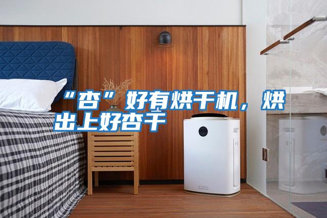 “杏”好有烘干機，烘出上好杏干