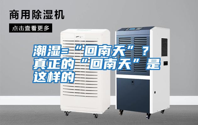 潮濕=“回南天”? 真正的“回南天”是這樣的