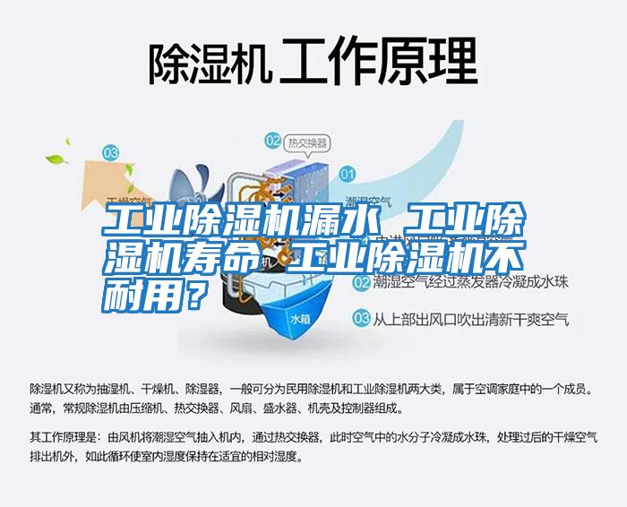 工業除濕機漏水 工業除濕機壽命 工業除濕機不耐用?