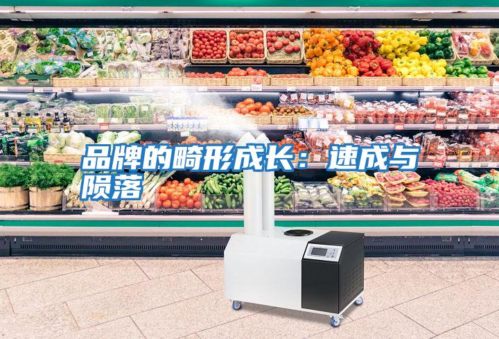 品牌的畸形成長(zhǎng):速成與隕落