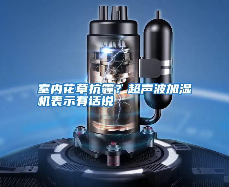 室內(nèi)花草抗霾?超聲波加濕機(jī)表示有話說