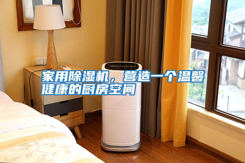 家用除濕機,營造一個溫馨健康的廚房空間