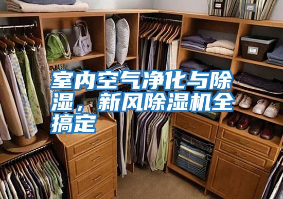 室內空氣凈化與除濕，新風除濕機全搞定