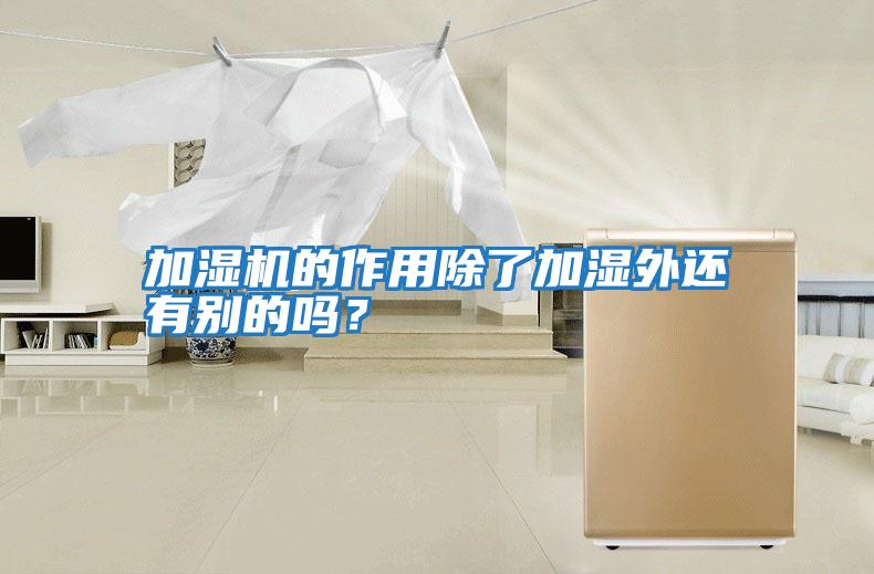 加濕機的作用除了加濕外還有別的嗎？