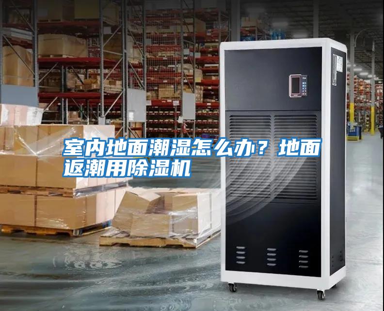室內地面潮濕怎么辦？地面返潮用除濕機