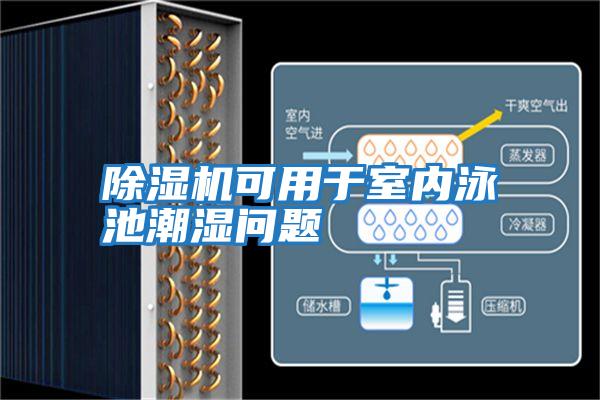 除濕機可用于室內泳池潮濕問題