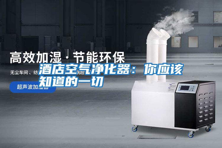 酒店空氣凈化器:你應該知道的一切