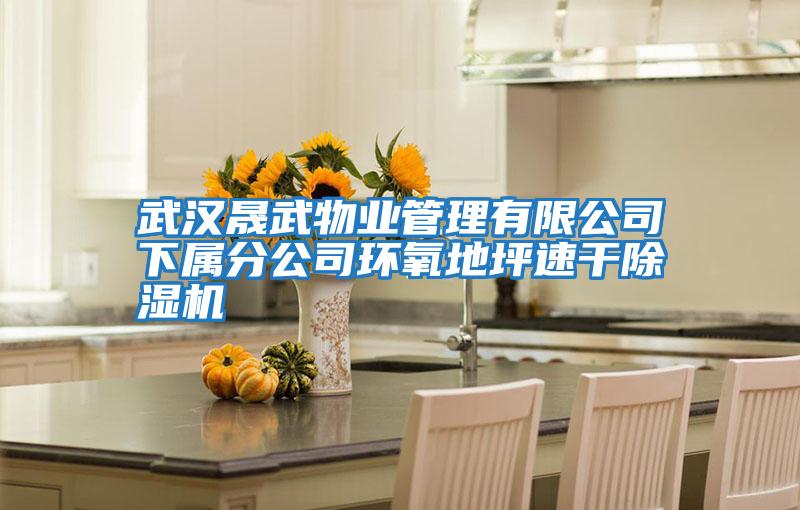 武漢晟武物業管理有限公司下屬分公司環氧地坪速干除濕機