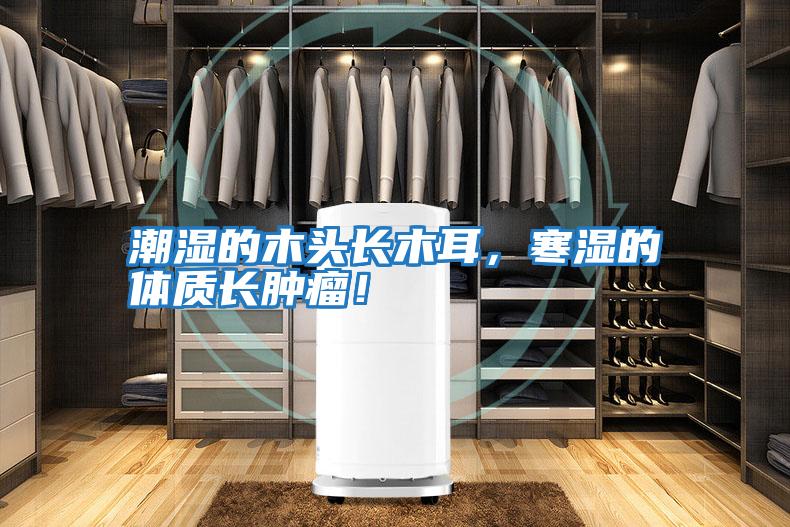 潮濕的木頭長木耳,寒濕的體質長腫瘤!