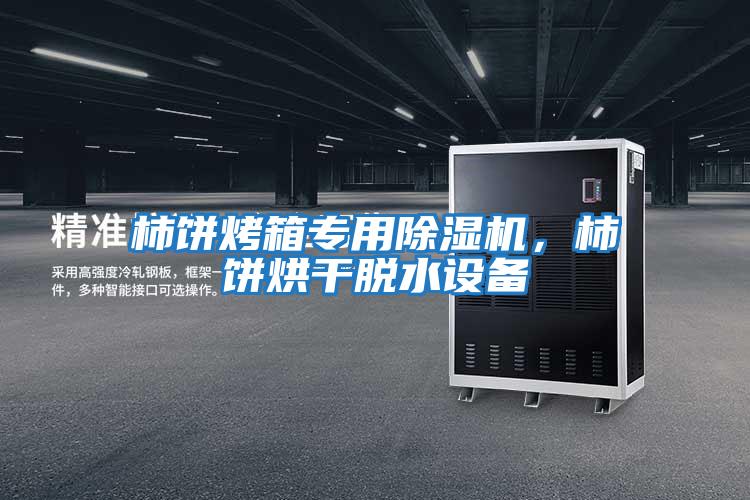 柿餅烤箱專用除濕機,柿餅烘干脫水設備