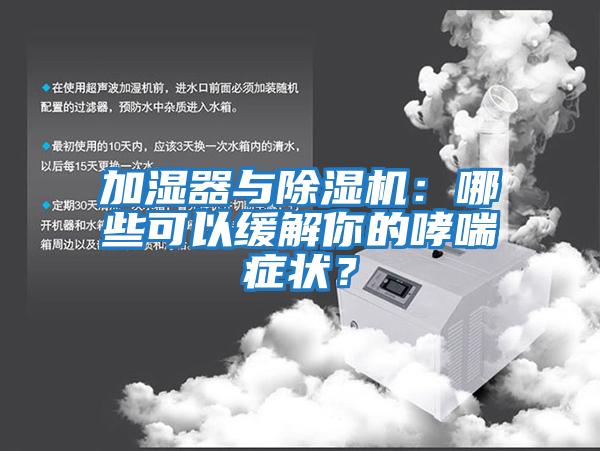 加濕器與除濕機：哪些可以緩解你的哮喘癥狀？