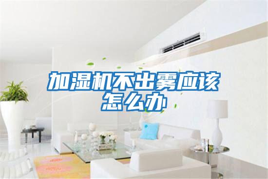 加濕機不出霧應該怎么辦