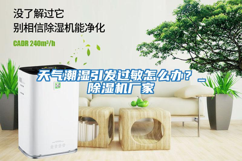 天氣潮濕引發過敏怎么辦?_除濕機廠家