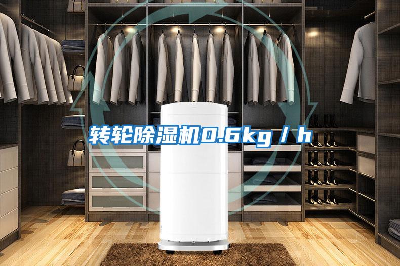 轉輪除濕機0.6kg/h