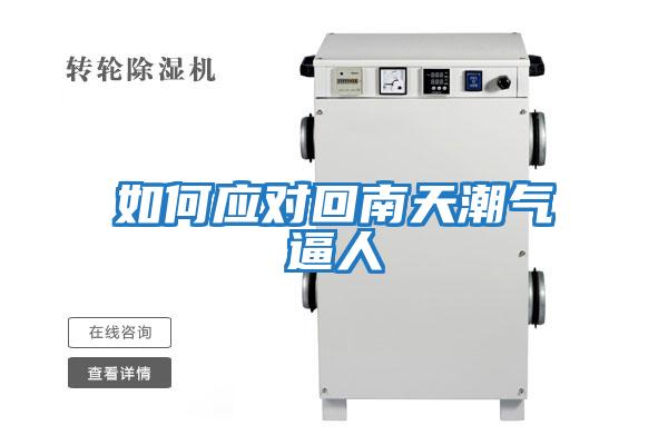 如何應(yīng)對回南天潮氣逼人
