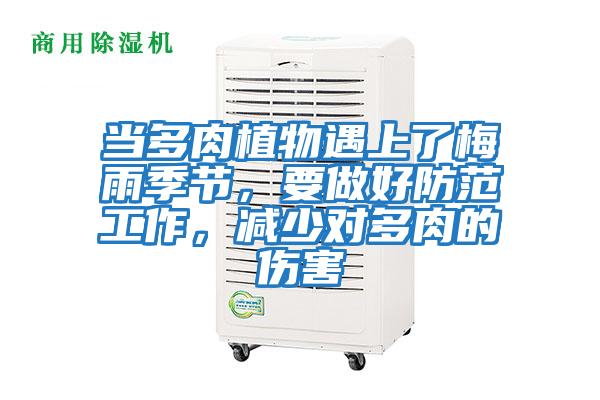 當多肉植物遇上了梅雨季節，要做好防范工作，減少對多肉的傷害