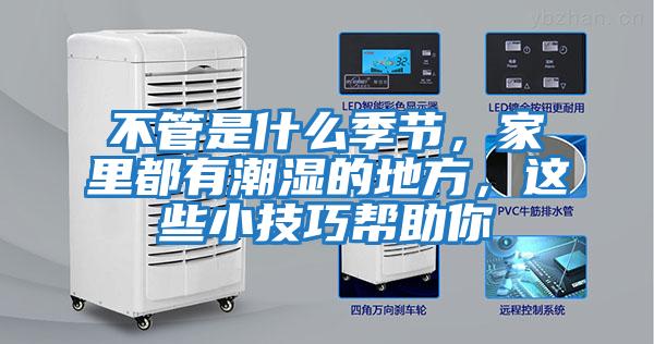 不管是什么季節，家里都有潮濕的地方，這些小技巧幫助你