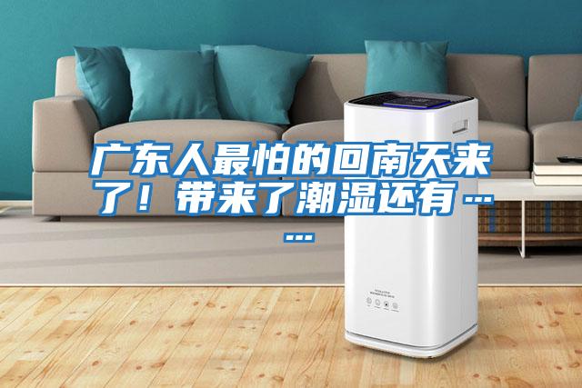 廣東人最怕的回南天來了！帶來了潮濕還有……
