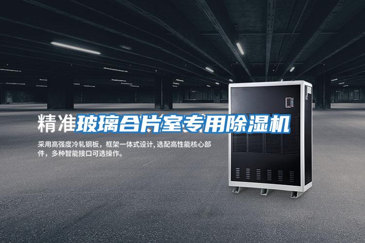 玻璃合片室專(zhuān)用除濕機(jī)