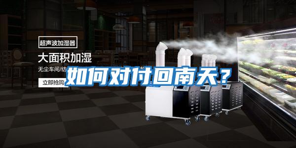 如何對付回南天？