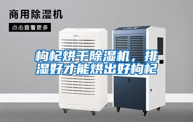 枸杞烘干除濕機(jī),排濕好才能烘出好枸杞