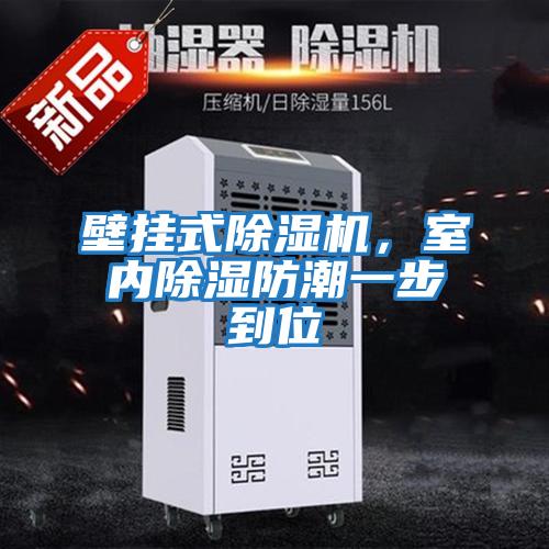 壁掛式除濕機(jī)，室內(nèi)除濕防潮一步到位