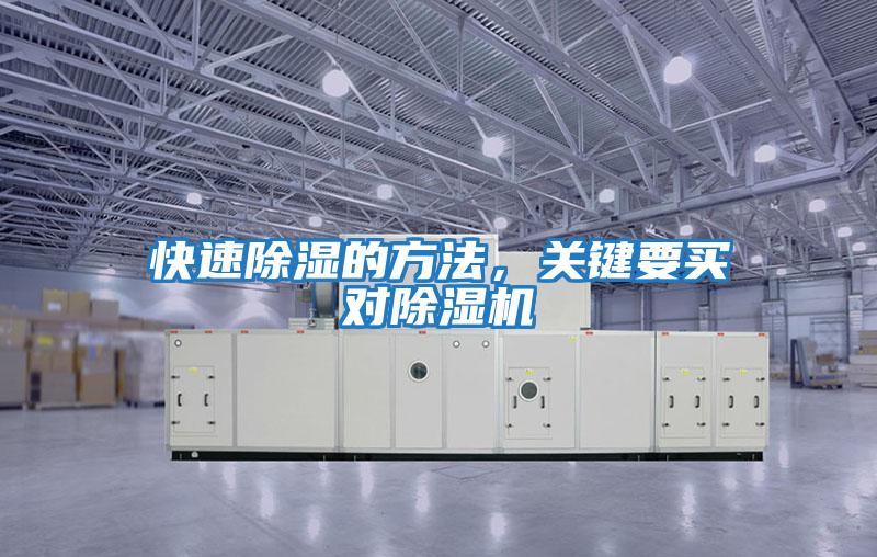 快速除濕的方法，關鍵要買對除濕機