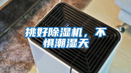 挑好除濕機，不懼潮濕天