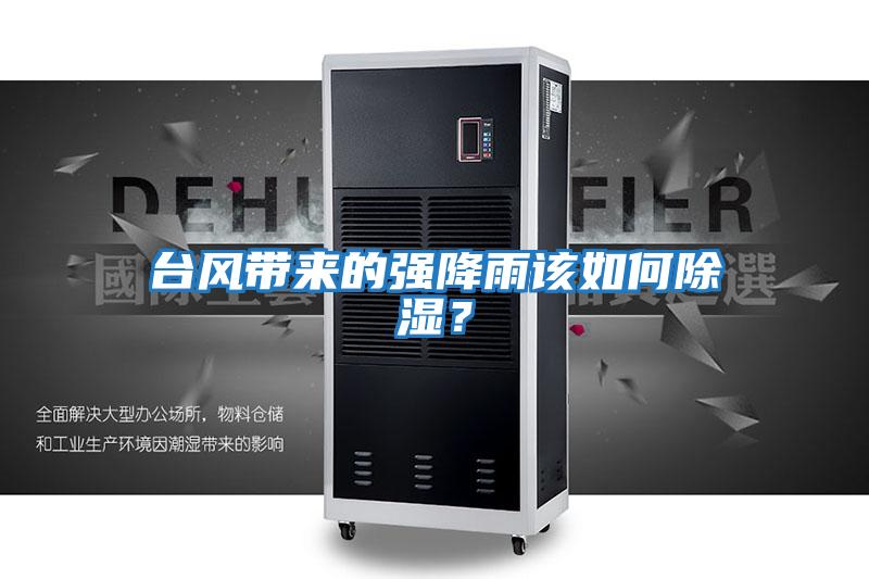 臺風(fēng)帶來的強降雨該如何除濕？