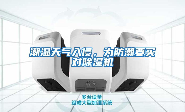 潮濕天氣入侵，為防潮要買對除濕機