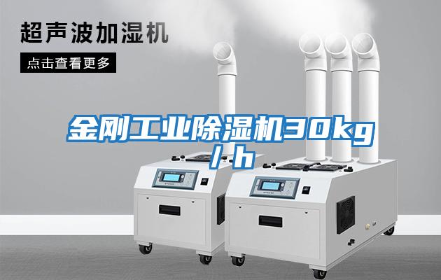 金剛工業除濕機30kg/h