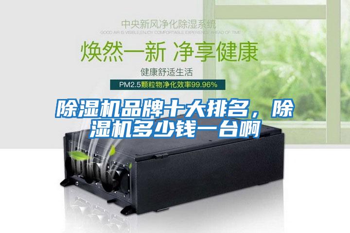 除濕機品牌十大排名,除濕機多少錢一臺啊