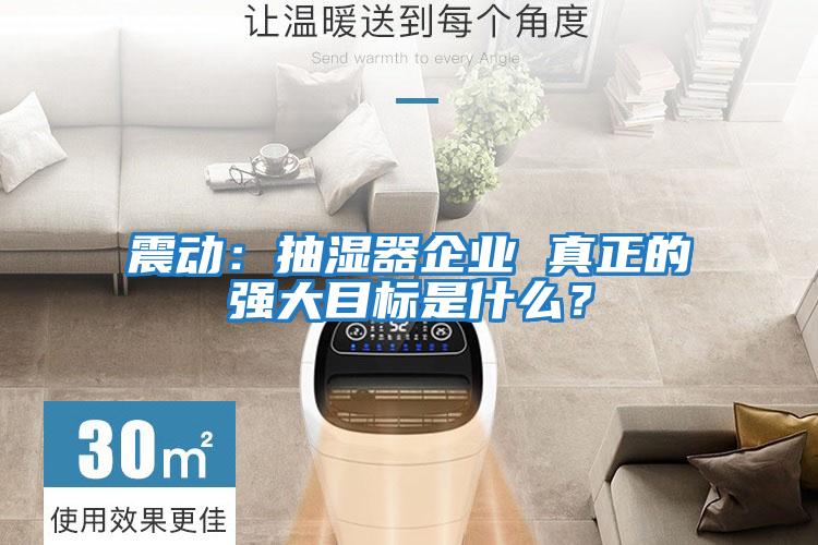震動：抽濕器企業(yè) 真正的強大目標(biāo)是什么？