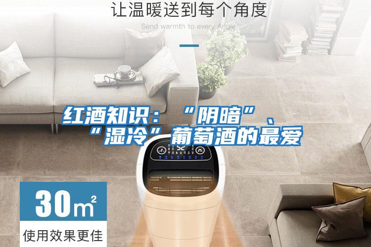 紅酒知識：“陰暗”、“濕冷”葡萄酒的最愛