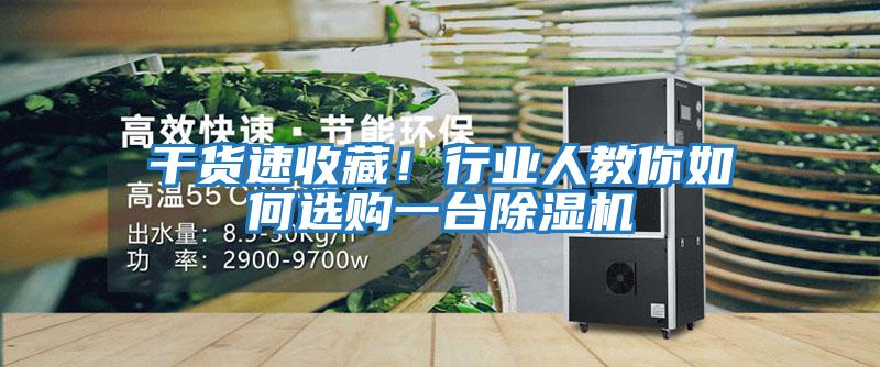 干貨速收藏!行業人教你如何選購一臺除濕機