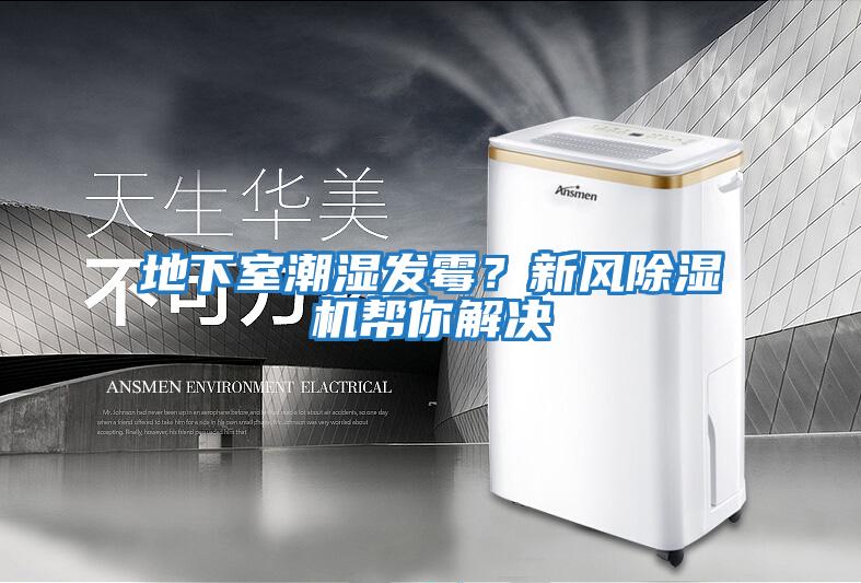地下室潮濕發(fā)霉?新風(fēng)除濕機(jī)幫你解決