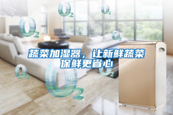 蔬菜加濕器，讓新鮮蔬菜保鮮更省心