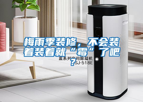 梅雨季裝修，不會裝著裝著就“霉”了吧？