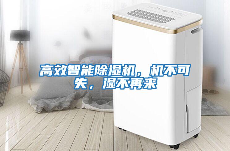 高效智能除濕機(jī)，機(jī)不可失，濕不再來(lái)