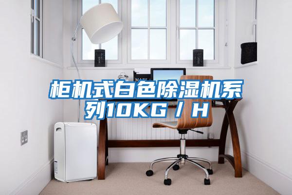 柜機式白色除濕機系列10KG/H