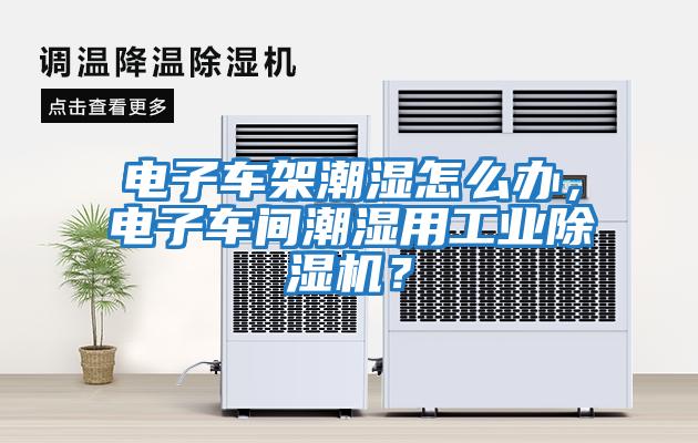 電子車架潮濕怎么辦，電子車間潮濕用工業除濕機？