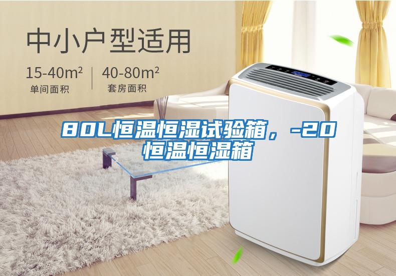 80L恒溫恒濕試驗箱,-20℃恒溫恒濕箱