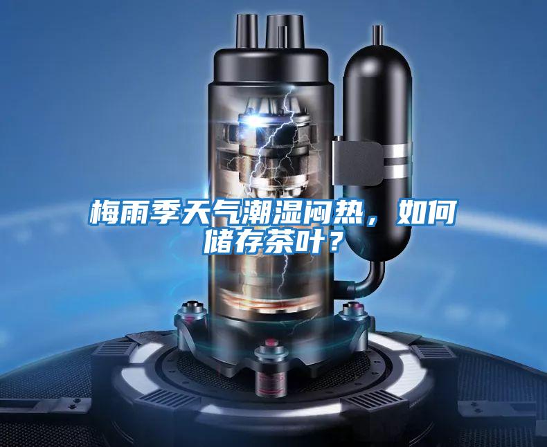梅雨季天氣潮濕悶熱,如何儲存茶葉?