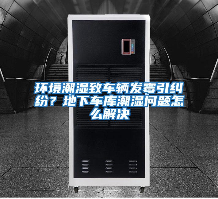 環(huán)境潮濕致車輛發(fā)霉引糾紛?地下車庫潮濕問題怎么解決