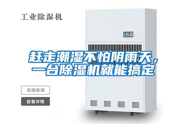 趕走潮濕不怕陰雨天,一臺除濕機就能搞定