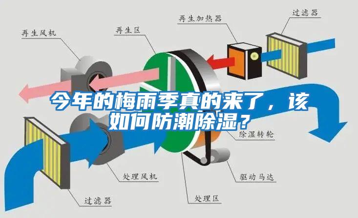 今年的梅雨季真的來了,該如何防潮除濕?