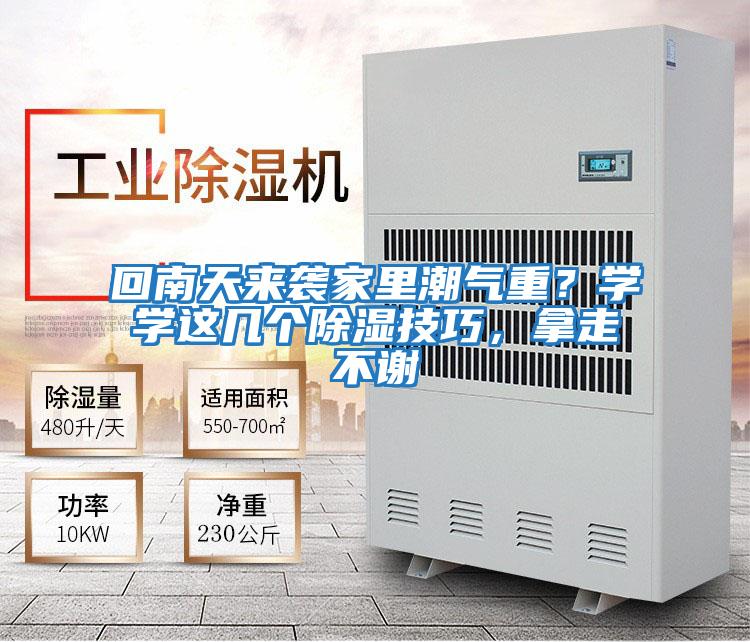回南天來(lái)襲家里潮氣重?學(xué)學(xué)這幾個(gè)除濕技巧,拿走不謝