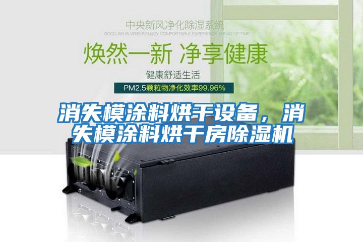 消失模涂料烘干設備,消失模涂料烘干房除濕機